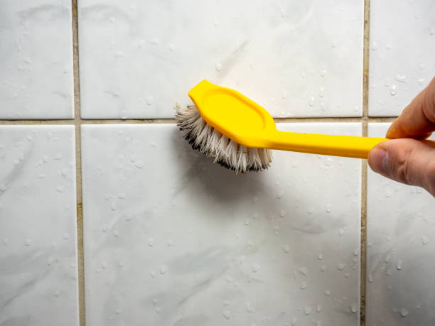 Best Mold Removal Process  in Embreeville, TN